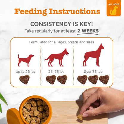 Zesty Paws Cardiovascular Support for Dogs – with CoQ10, Taurine, L-Carnitine & AlaskOmega Fish Oil – Senior Heart Health – Salmon – 90 Chews