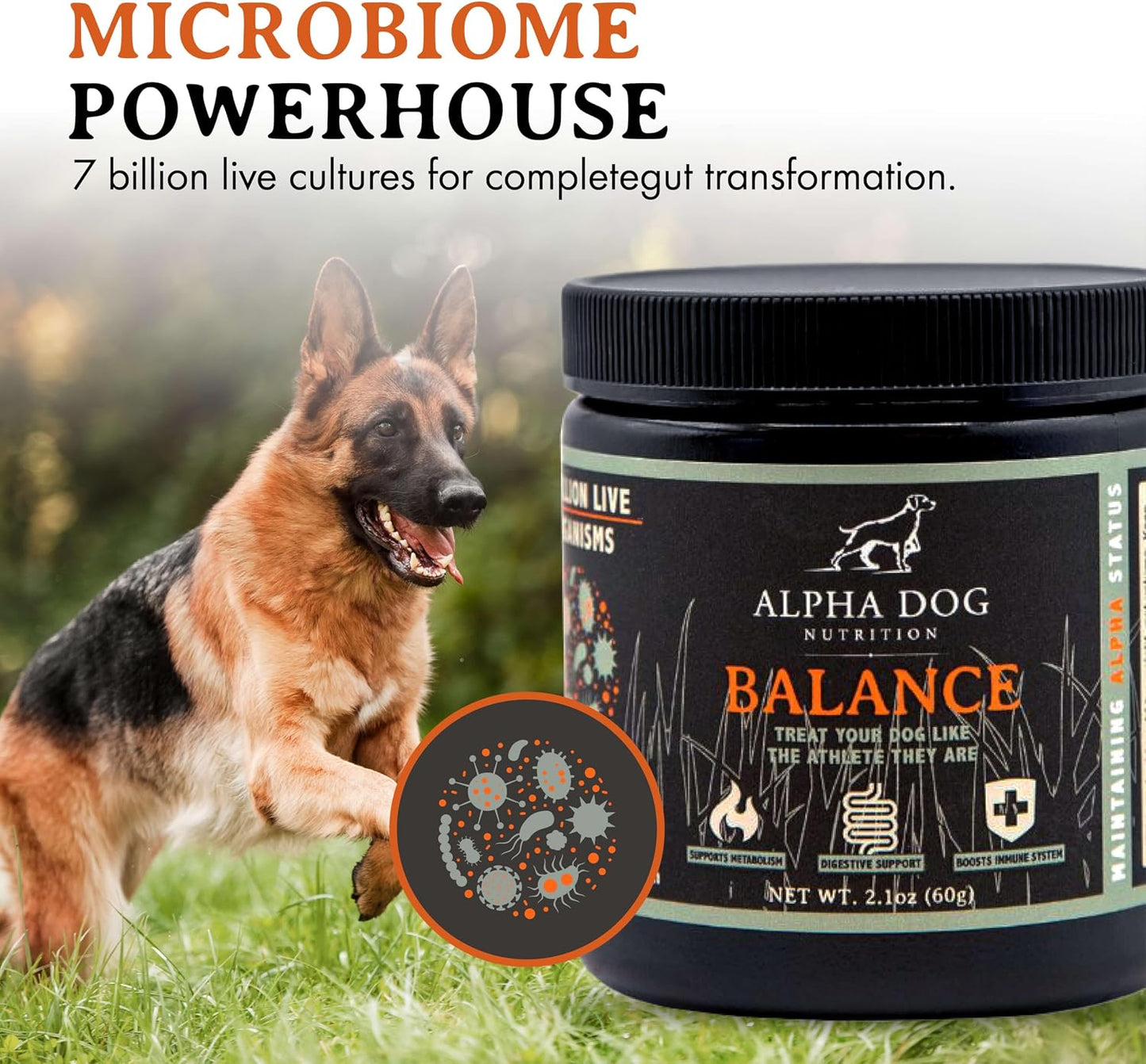 Balance Probiotic Blend for Dogs by Alpha Dog Nutrition - görsel 5