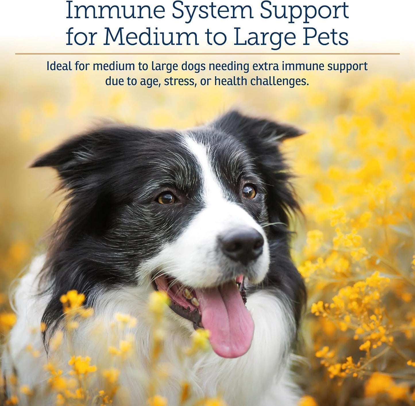 Rx Vitamins GlucaMune Forte - Immune Support Supplement with Beta Glucan for Dogs and Cats - Strengthens Natural Defences for Overall Health - 60ct - görsel 2