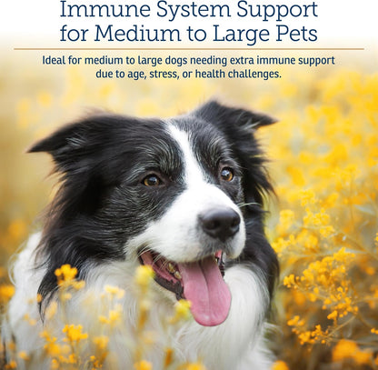 Rx Vitamins GlucaMune Forte - Immune Support Supplement with Beta Glucan for Dogs and Cats - Strengthens Natural Defences for Overall Health - 60ct