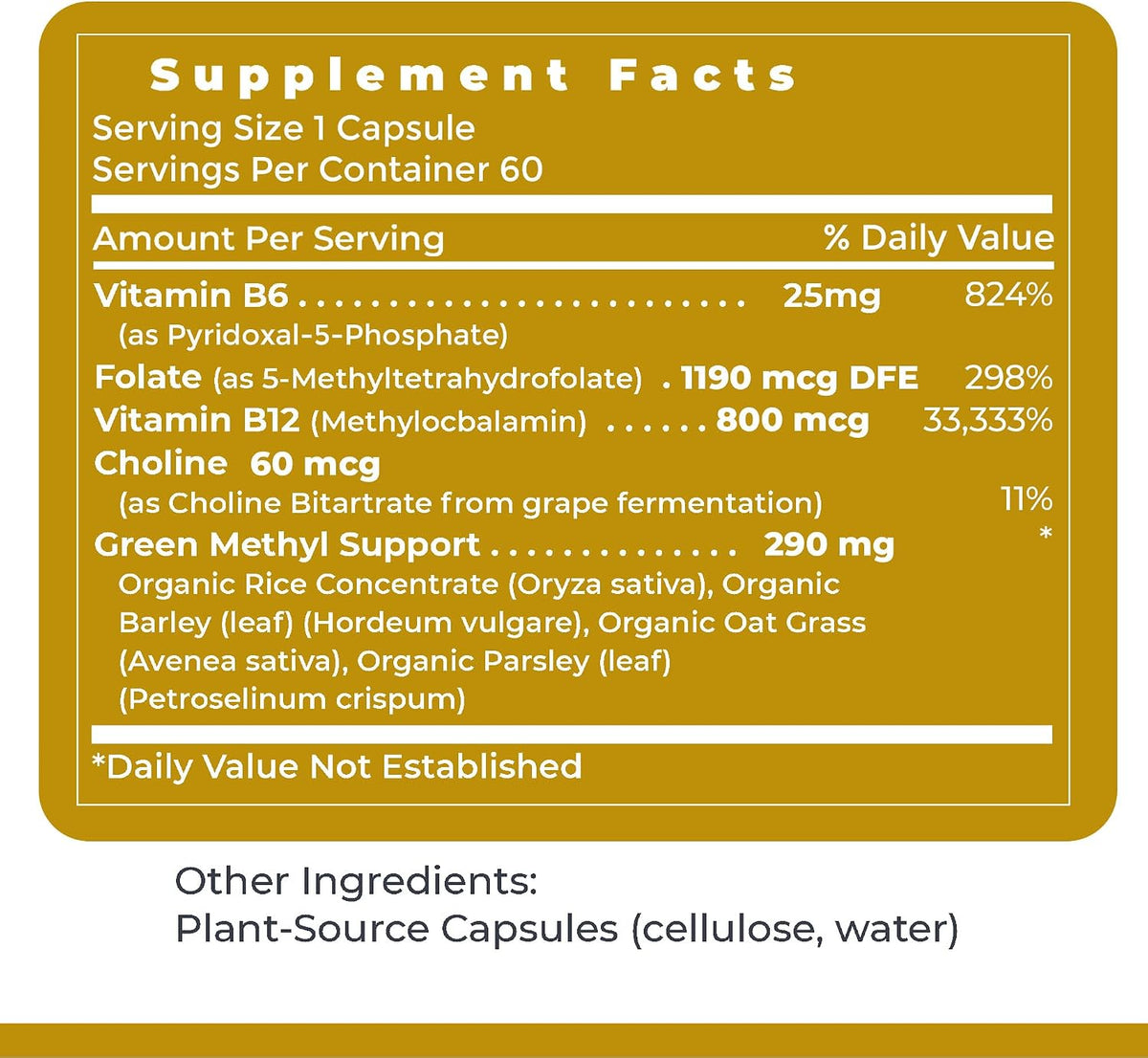 Premier Research Labs Phyto Methylate - Methylated B Vitamin Complex with 5-MTHF and P5P - Supports Methylation, Detox and Cardiovascular Health - 60 Plant-Based Capsules - görsel 6