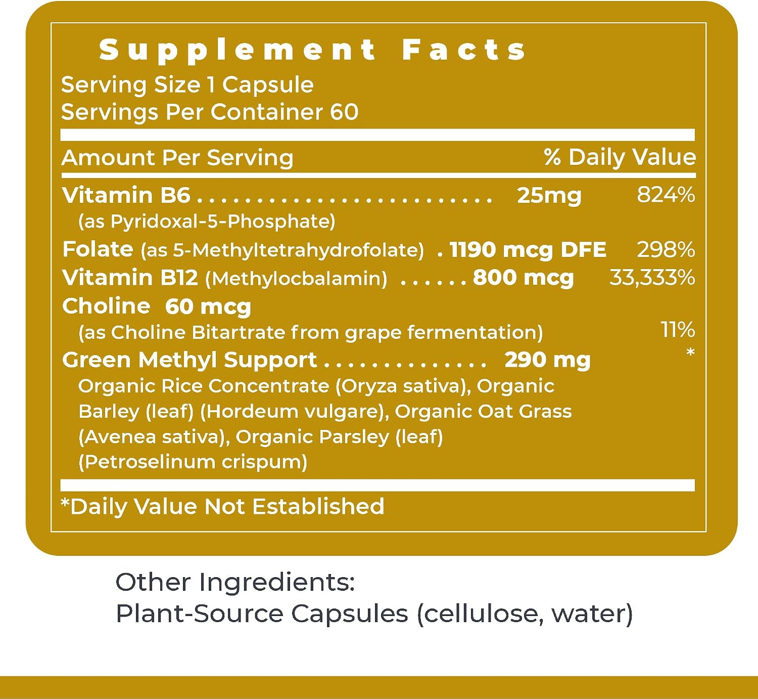 Premier Research Labs Phyto Methylate - Methylated B Vitamin Complex with 5-MTHF and P5P - Supports Methylation, Detox and Cardiovascular Health - 60 Plant-Based Capsules - görsel 6