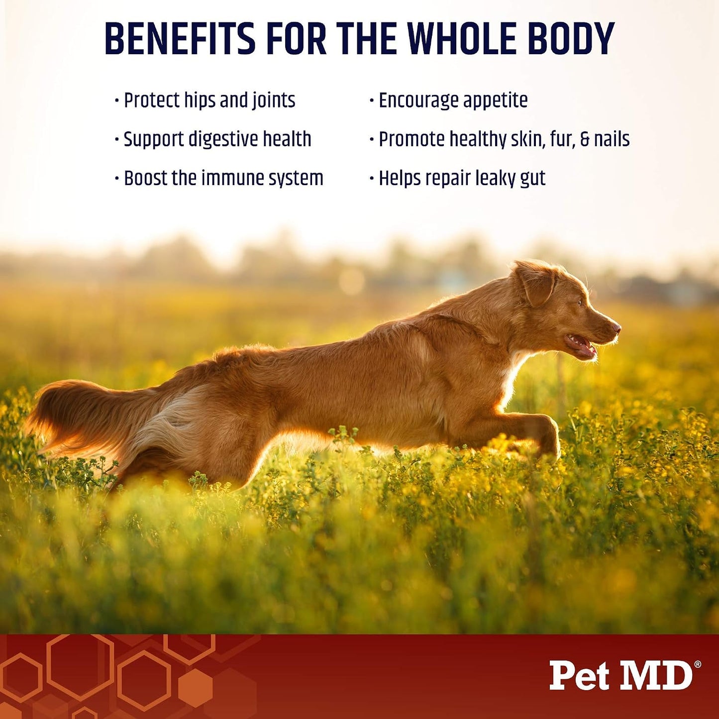 Pet MD Bone Broth for Dogs - Dog Food Topper with Vitamins, Amino Acids, Joint and Digestion Support - Made from Grade A Free Range Elk Bone Powder, 113g (4 oz) - görsel 2