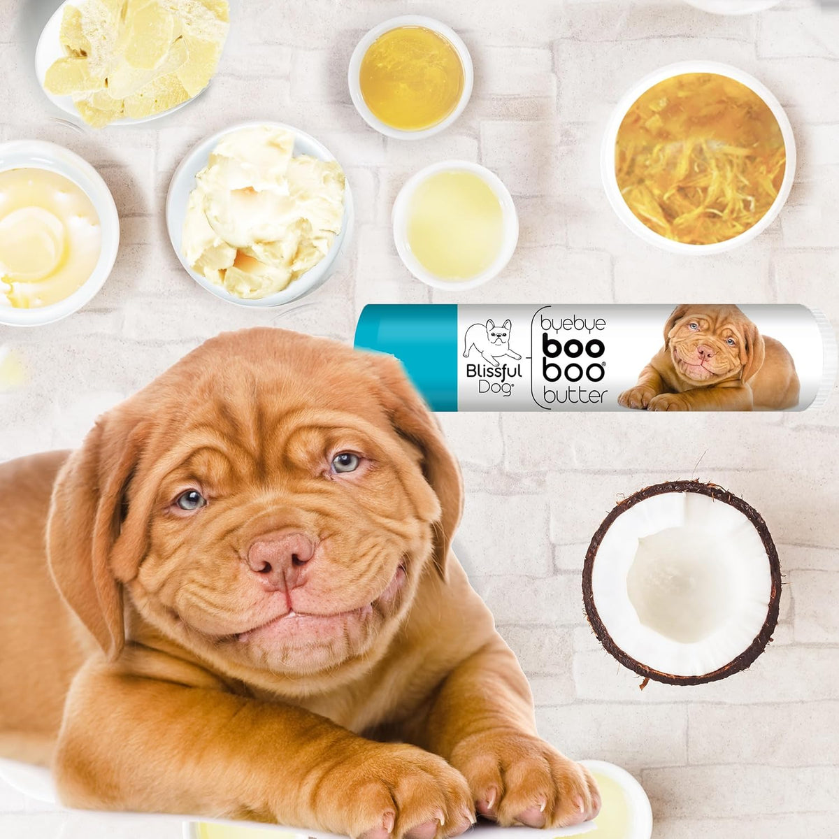 The Blissful Dog 4g Tube Dogue De Bordeaux Booboo Butter - görsel 2