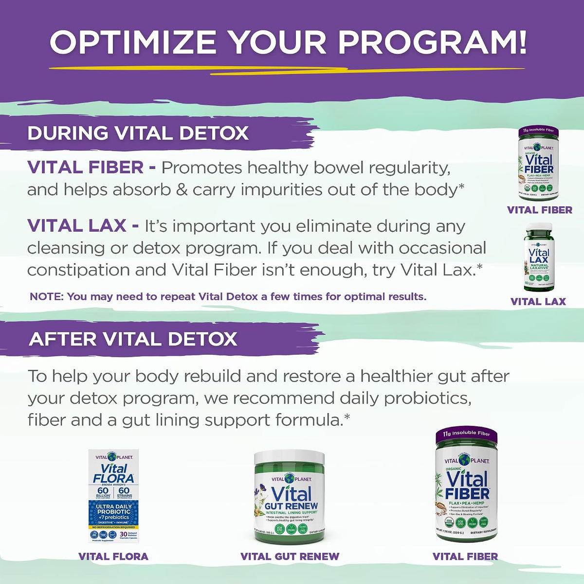 Vital Planet - Vital Detox with Milk Thistle, Quercetin, Alpha Lipoic Acid, Choline, and Herbs, for Occasional Gas and Bloating, Supports Healthy Intestinal Balance, 2-Part 14 Day Kit, 56 Capsules - görsel 4