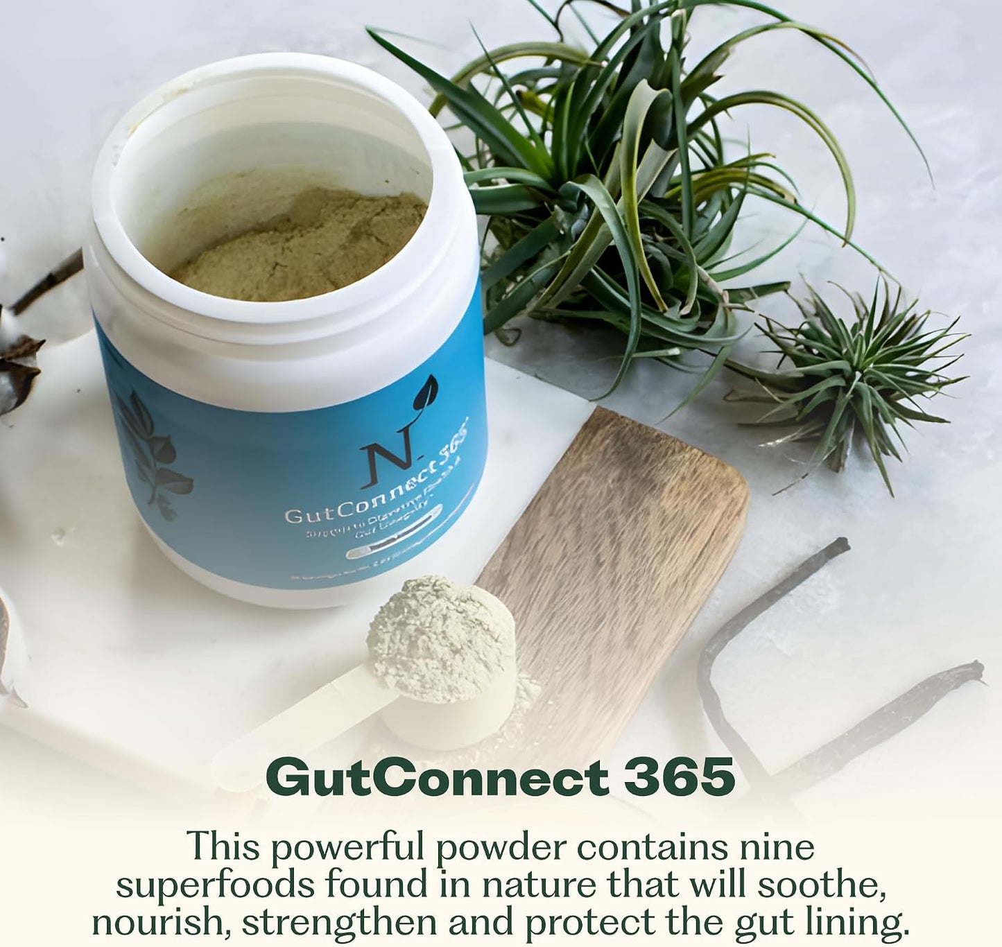 Nature M.D. GutConnect 365 – Chocolate Coconut Gut Health SuperFood Powder, 30 Servings - görsel 2