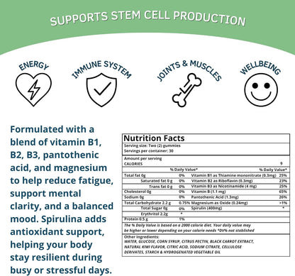 Bioxtron Natural Stem Cell Food Supplement Gummies (60 Gummies)