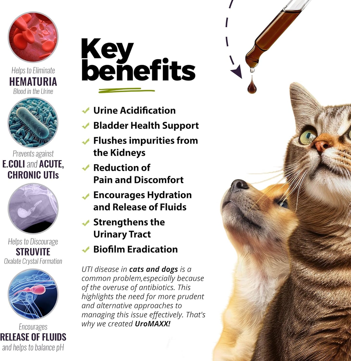 UroMAXX Urinary Tract Formula for Cats and Dogs – 2-Pack of 177 ml Bottles - görsel 3