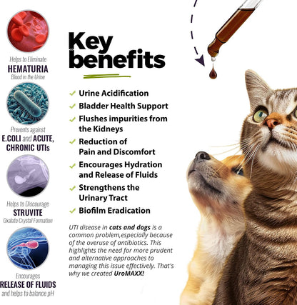 UroMAXX Cat & Dog Urinary Tract Support – Liquid Cranberry & Glucosamine, Chicken Flavour, 177 ml (3 Pack)