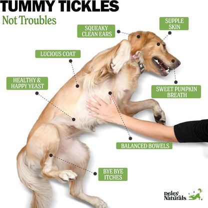 Deley Naturals Probiotics Plus Chews for Dogs - Gut Health Supplement with 5 Billion CFUs and Digestive Enzymes (90 Chews)