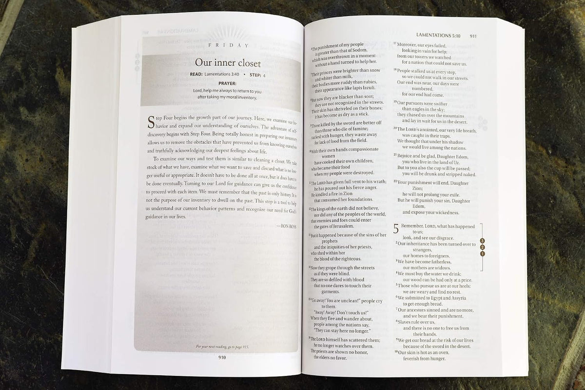 NIV, Recovery Devotional Bible, Paperback - görsel 6