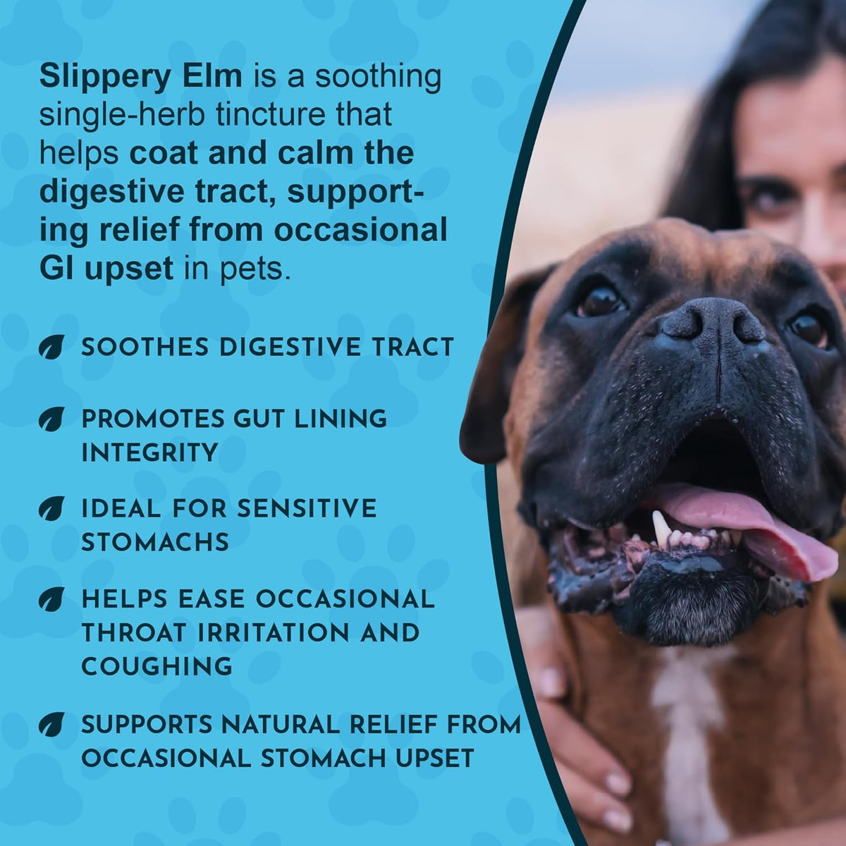 Animal Essentials Organic Slippery Elm Bark Liquid Extract for Dogs and Cats - Digestive and Throat Support - 60 ml - görsel 5