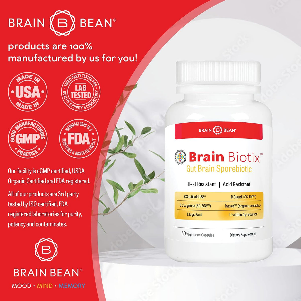 Brain Bean Brain Biotix - Spore-Based Probiotic and Prebiotic, 30 Servings - görsel 5
