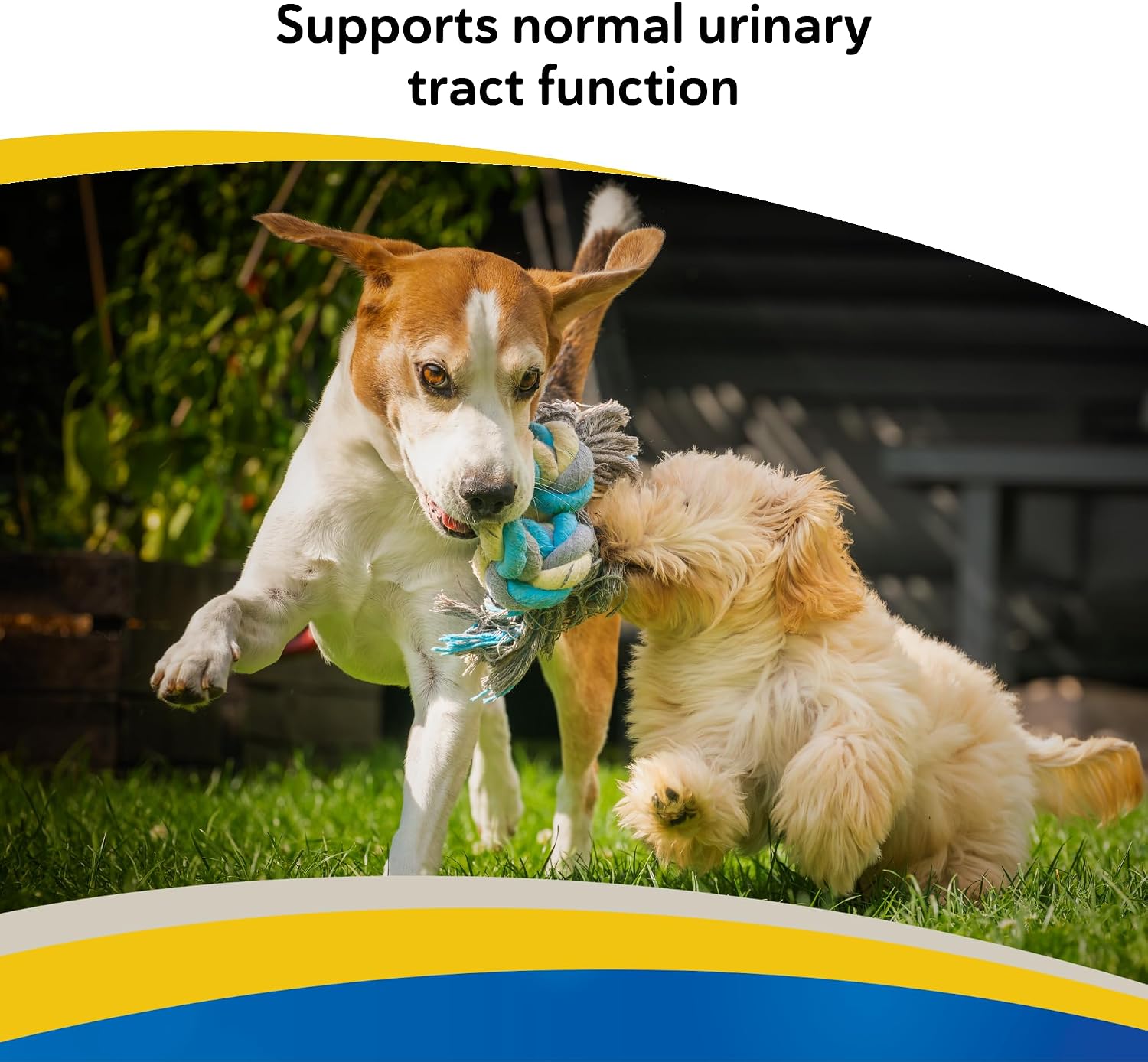 Doc Roy's Cranberry Extra Supplement for Dogs and Cats, 60 Tablets - görsel 3