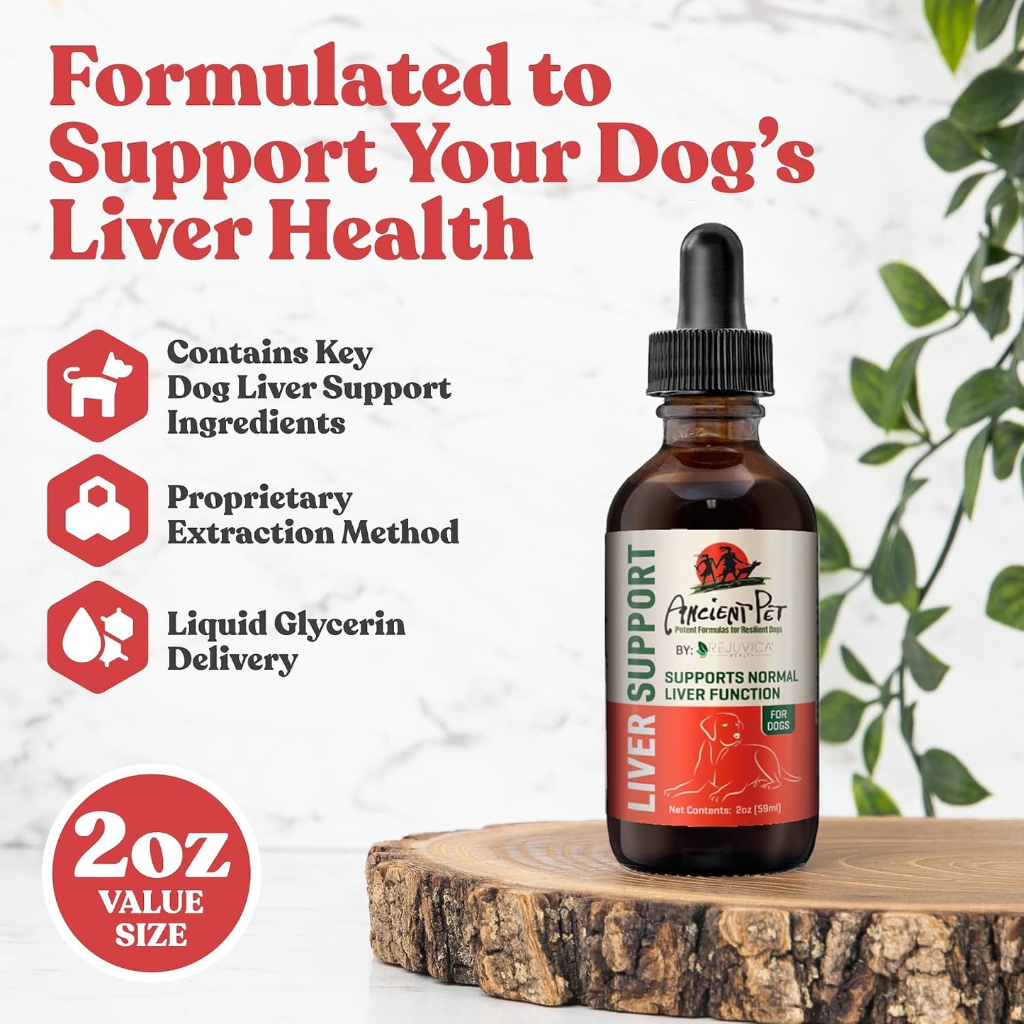 Ancient Pet Liver Milk Thistle for Dogs - Liver Support Liquid Supplement with Dandelion and Artichoke - görsel 2