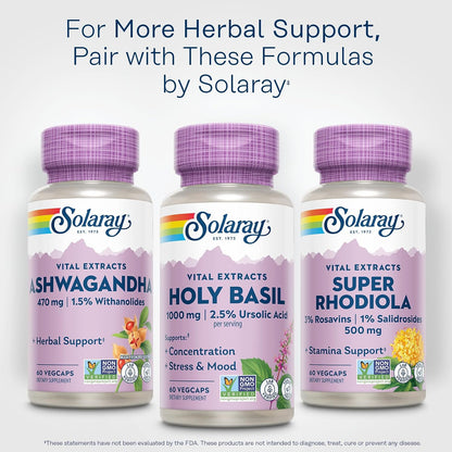 SOLARAY Holy Basil 1000 mg – Adaptogenic Tulsi Supplement with Ursolic Acid