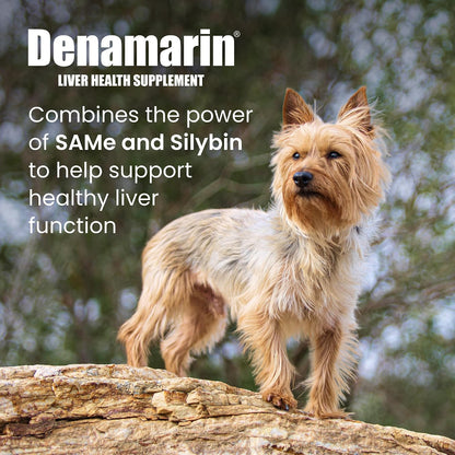 Nutramax Denamarin for Small Dogs and Cats, Liver Health Supplement with S-adenosylmethionine (SAMe) plus Silybin, Coated Tablets, 30 Tablets