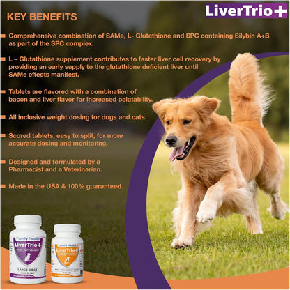 Comprehensive Liver Supplement (2 Pack - 60 Tablets), Combining SAMe, SPC, Silybin A+B, Glutathione, Chewable Tablets for Dogs 30 Tablets (2 x Small to Medium)