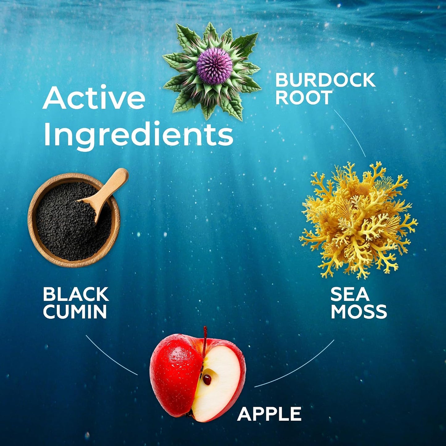 TrueSeaMoss Irish Sea Moss Liquid Drops – Black Cumin Seed Oil, Bladderwrack Extract, Burdock Root, Vitamin C & Zinc – Apple Flavour – 30 Servings - görsel 6