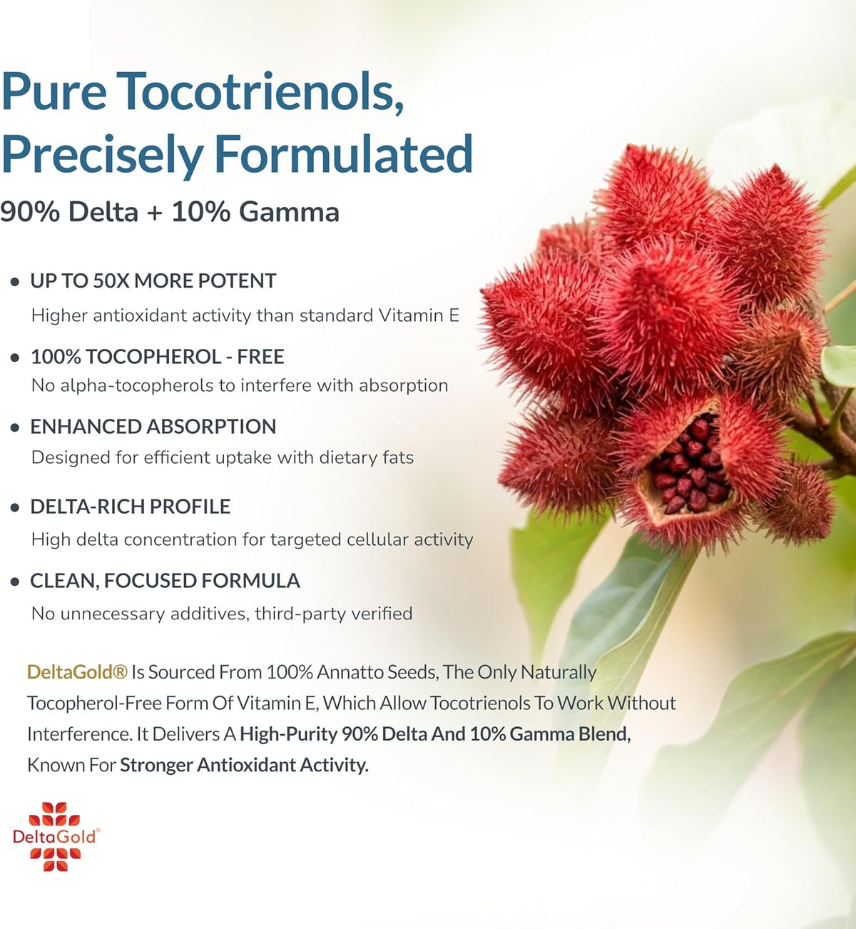 WELLNESS EXTRACT Eannatto Tocotrienols Vitamin E Supplement - Tocopherol Free, Non-GM, Gluten-free, Antioxidant (300mg, 60 Softgels) - görsel 5
