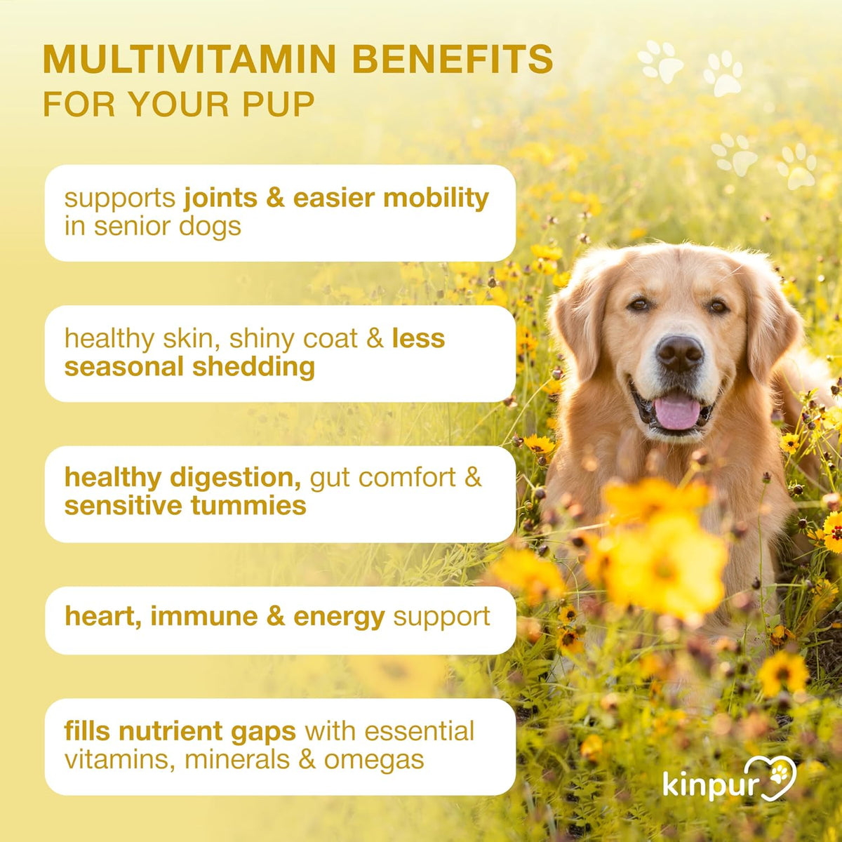 20-in-1 Dog Multivitamin Chews – Immunity, Joint, Digestive & Coat Support – 180 Soft Chews - görsel 5