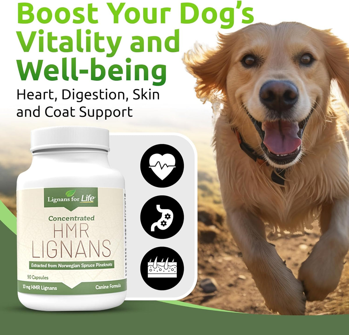 HMR Lignans 10mg Capsules for Dogs – Adrenal Support & Wellness Supplement - görsel 3
