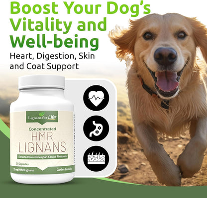 HMR Lignans 10mg Capsules for Dogs – Adrenal Support & Wellness Supplement