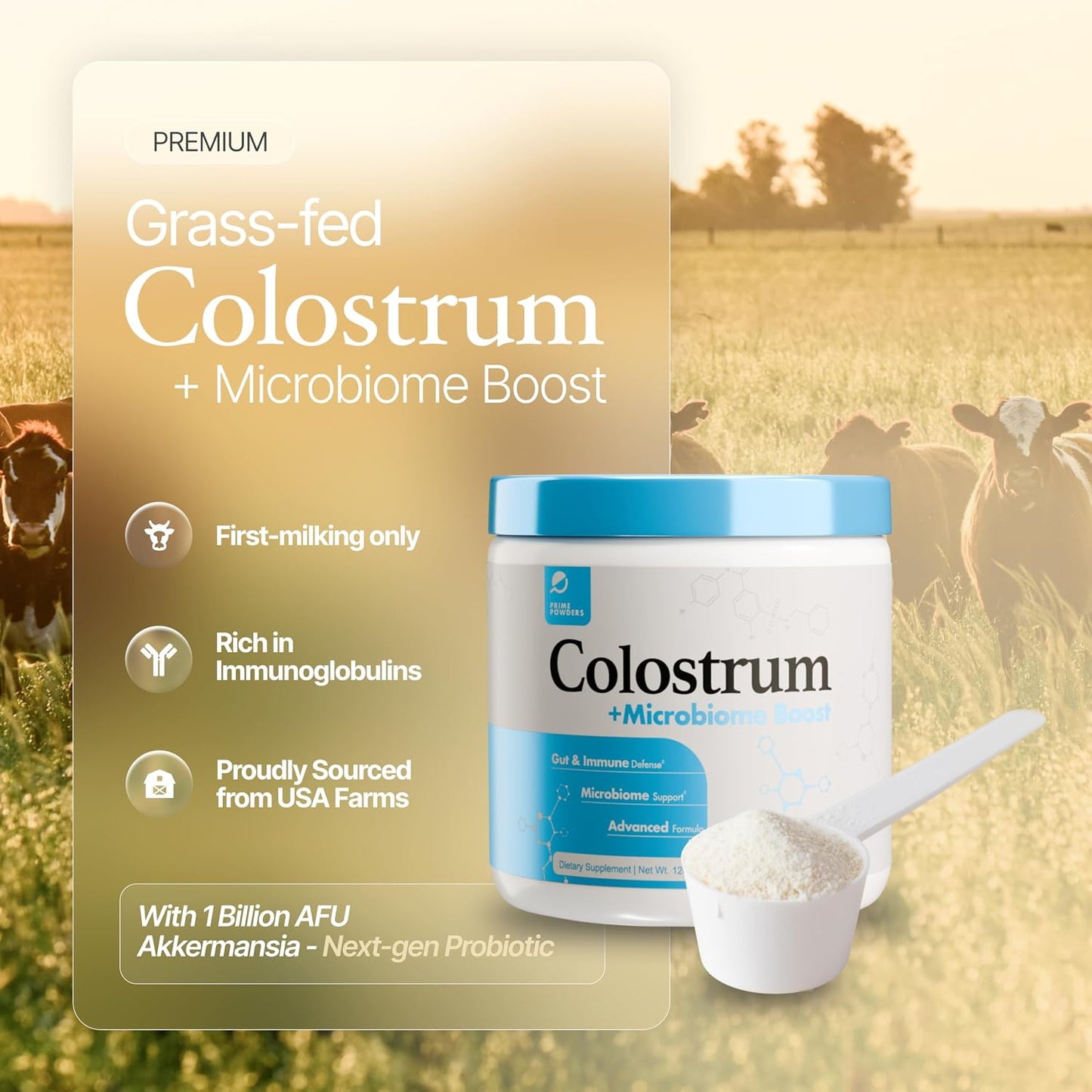 Prime Powders Colostrum Powder – Grass-Fed Bovine Colostrum with Akkermansia Probiotic, 120 Servings - görsel 2