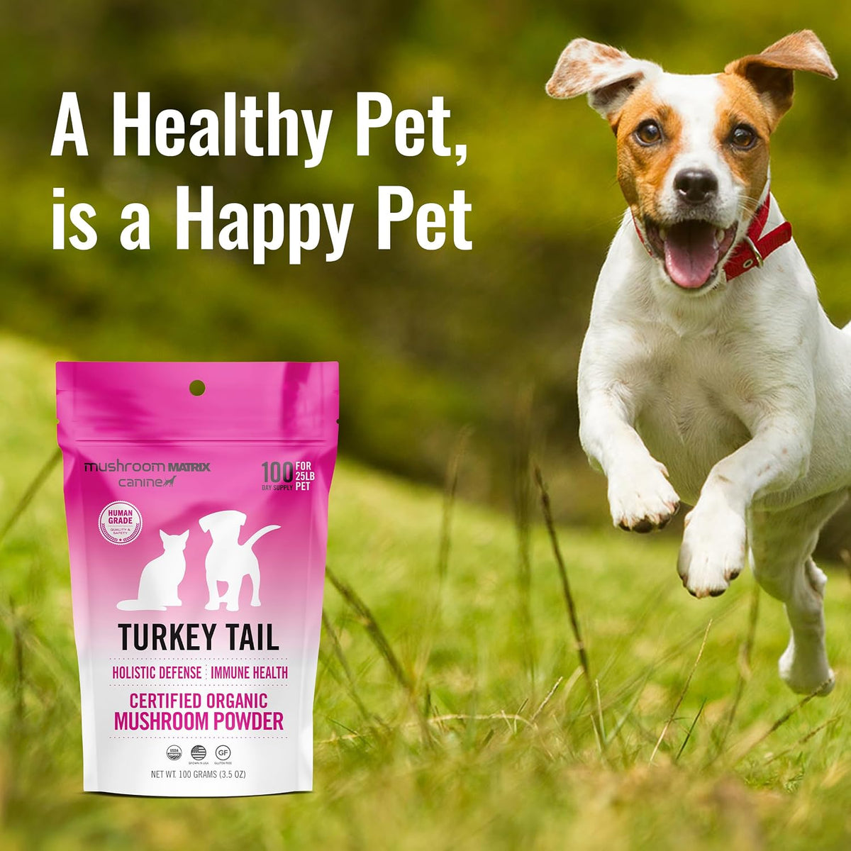 Om Mushroom Matrix Pet Canine Turkey Tail Organic Mushroom Powder – Immune Support for Dogs & Cats (100g) - görsel 5