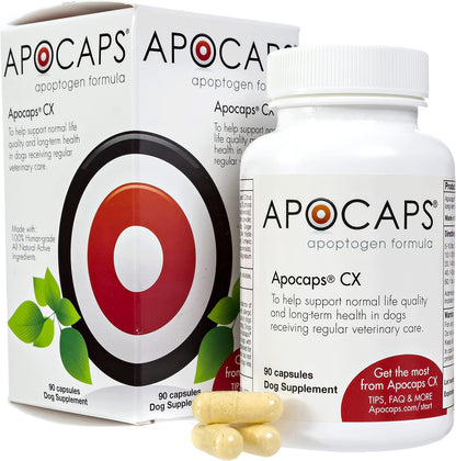 Apocaps CX Vet-Formulated Apoptogen Formula for Dogs - Milk Thistle, Turmeric, Apigenin & Luteolin - Formulated to Help Maintain Normal Cell Renewal, Immune & Liver Health - Senior Dogs - 90 Capsules