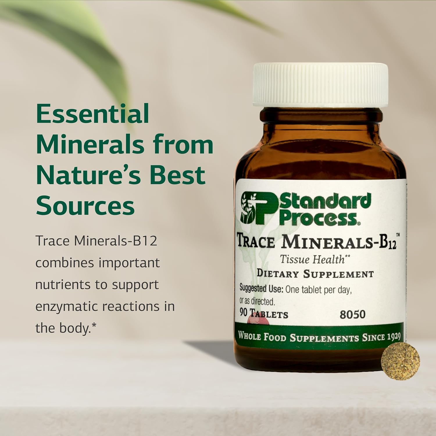Standard Process Trace Minerals-B12 – Thyroid & Cellular Function Support with Iodine, Zinc & Copper – Cartilage & Bone Health Aid – Non-Dairy & Non-Soya – 90 Tablets - görsel 3