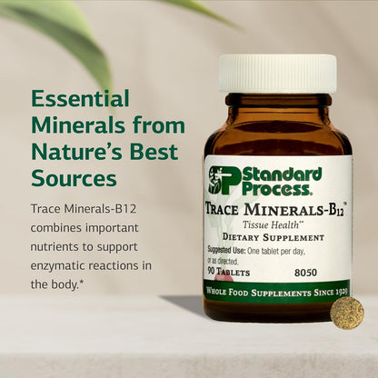 Standard Process Trace Minerals-B12 – Thyroid & Cellular Function Support with Iodine, Zinc & Copper – Cartilage & Bone Health Aid – Non-Dairy & Non-Soya – 90 Tablets