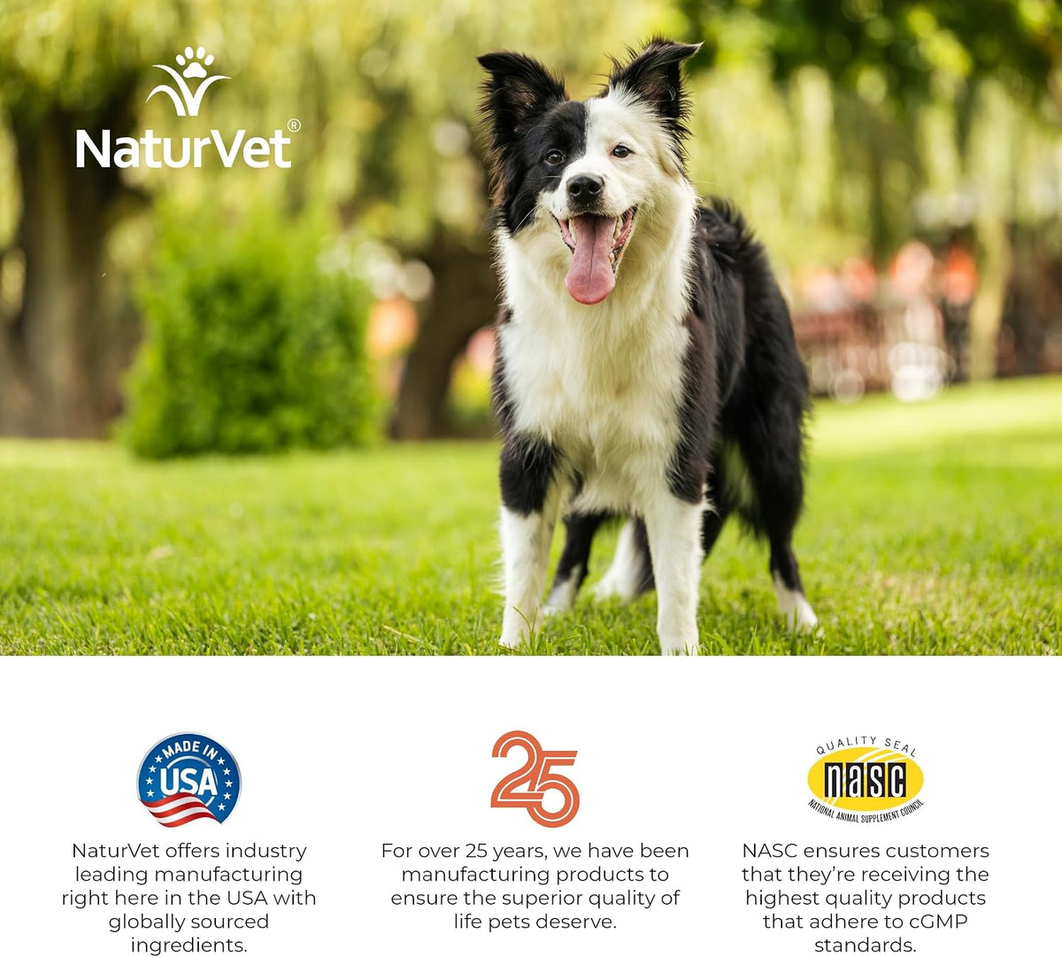 NaturVet Digestive Enzymes Plus Probiotics for Dogs, Soft Chews (90 Count) - görsel 9