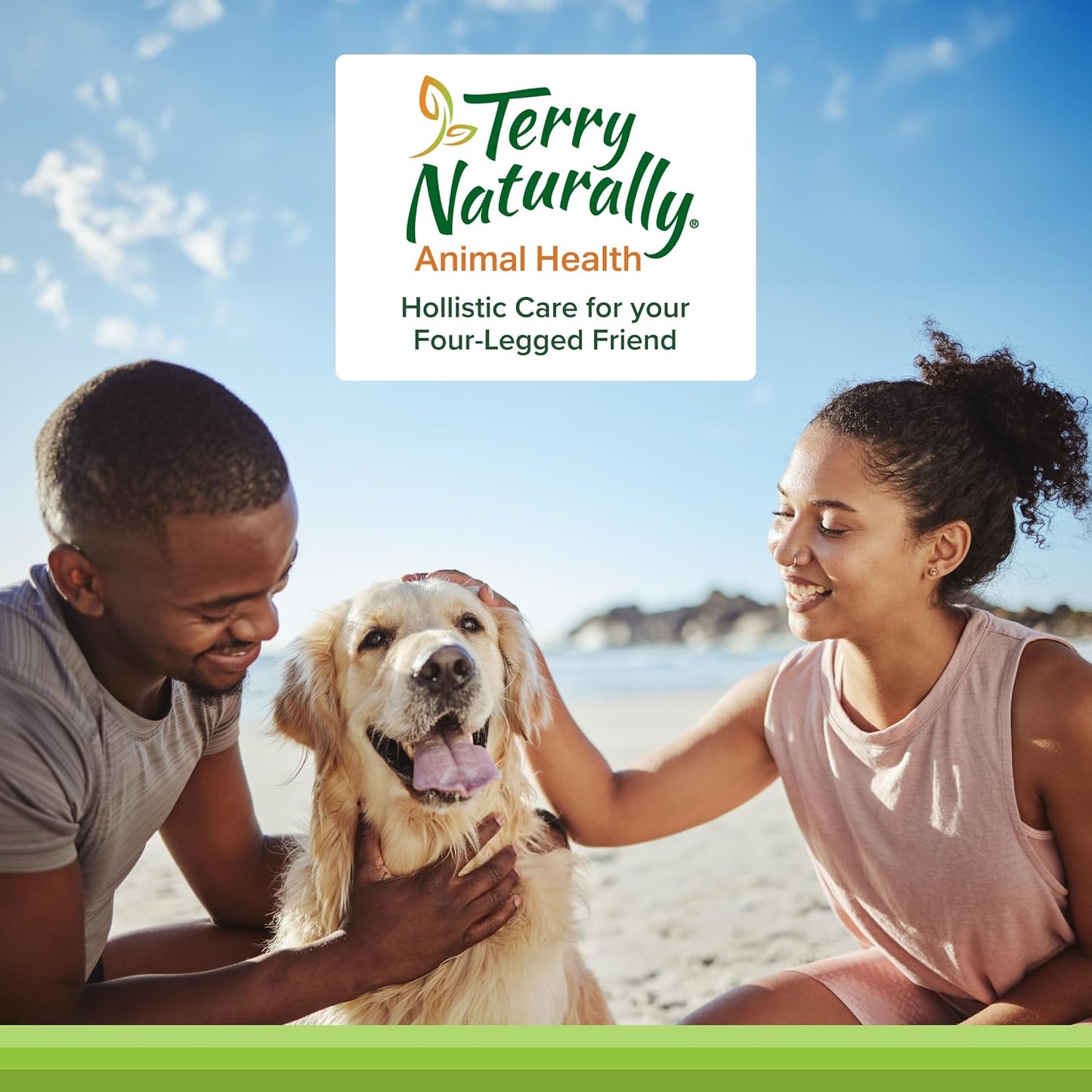 Terry Naturally Curacel Curcumin for Dogs – Cell Protection Supplement with Antioxidants – 60 Softgels - görsel 7