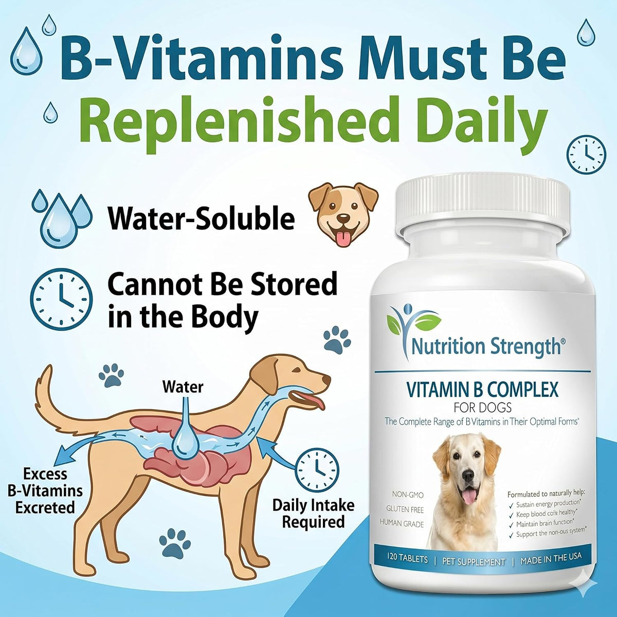 Nutrition Strength Vitamin B Complex for Dogs – for Blood Cell & Nervous System Support, 120 Chewable Tablets - görsel 2