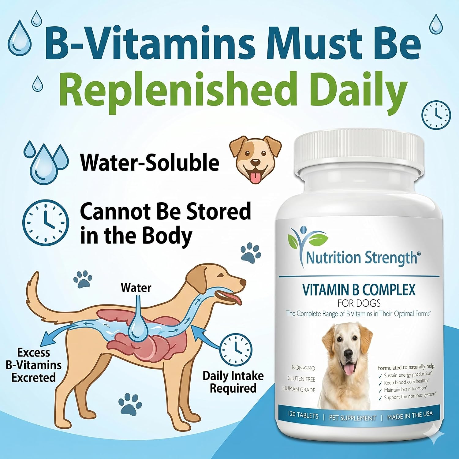 Nutrition Strength Vitamin B Complex for Dogs – for Blood Cell & Nervous System Support, 120 Chewable Tablets - görsel 2