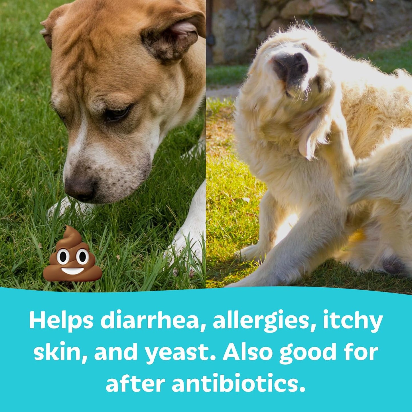 Tails 'N' Tummies Probiotics for Dogs: 60 Tiny Tablets for Allergies, Itchy Skin, Diarrhoea & Digestive Relief - görsel 3