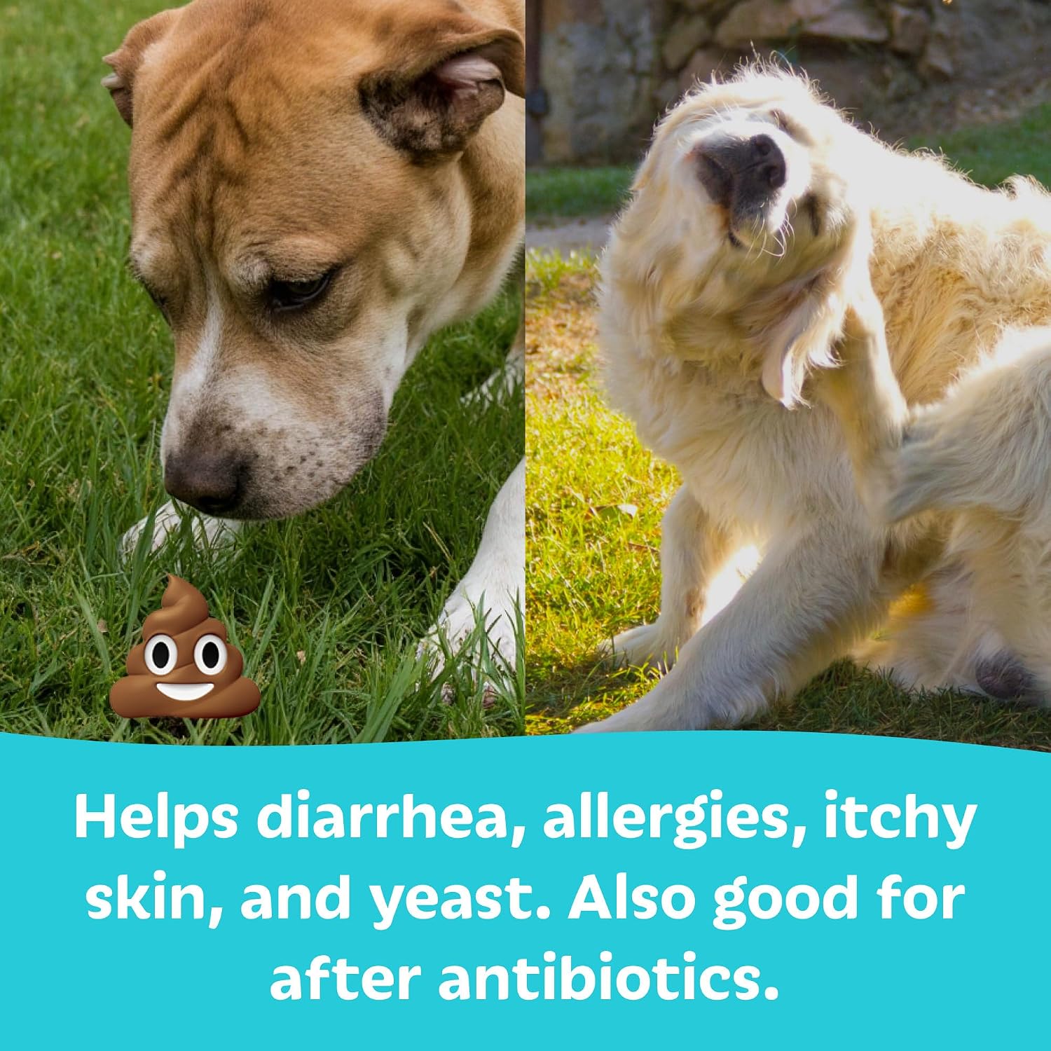 Tails 'N' Tummies Probiotics for Dogs: 60 Tiny Tablets for Allergies, Itchy Skin, Diarrhoea & Digestive Relief - görsel 3