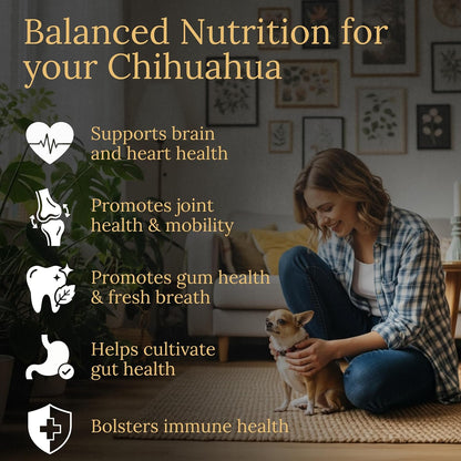 Prestige Breed Multivitamins, Balanced Nutrition for Your Chihuahua, 90 Chews, Made in the USA with Real Bacon