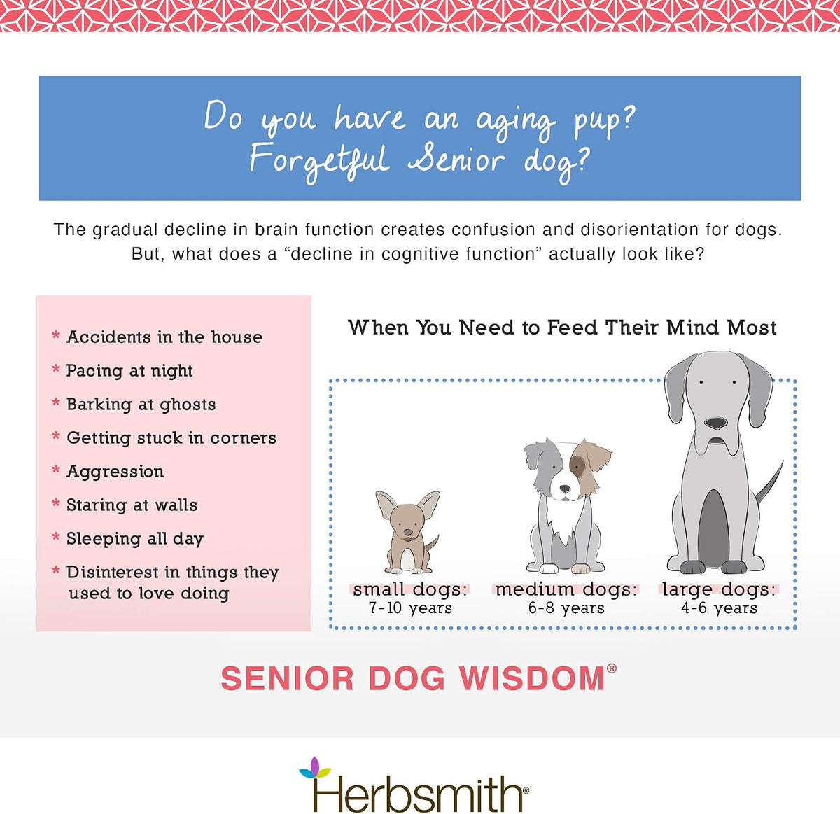 Herbsmith Senior Dog Wisdom - Brain Health Supplement for Senior Dogs - 75g - görsel 4