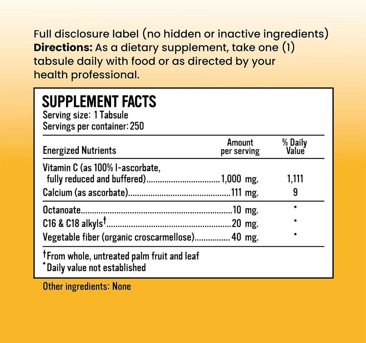 Alkaline for Life Alkalini-C Tabsules - 1000 mg Buffered Vitamin C (250 Tabsules) - görsel 2