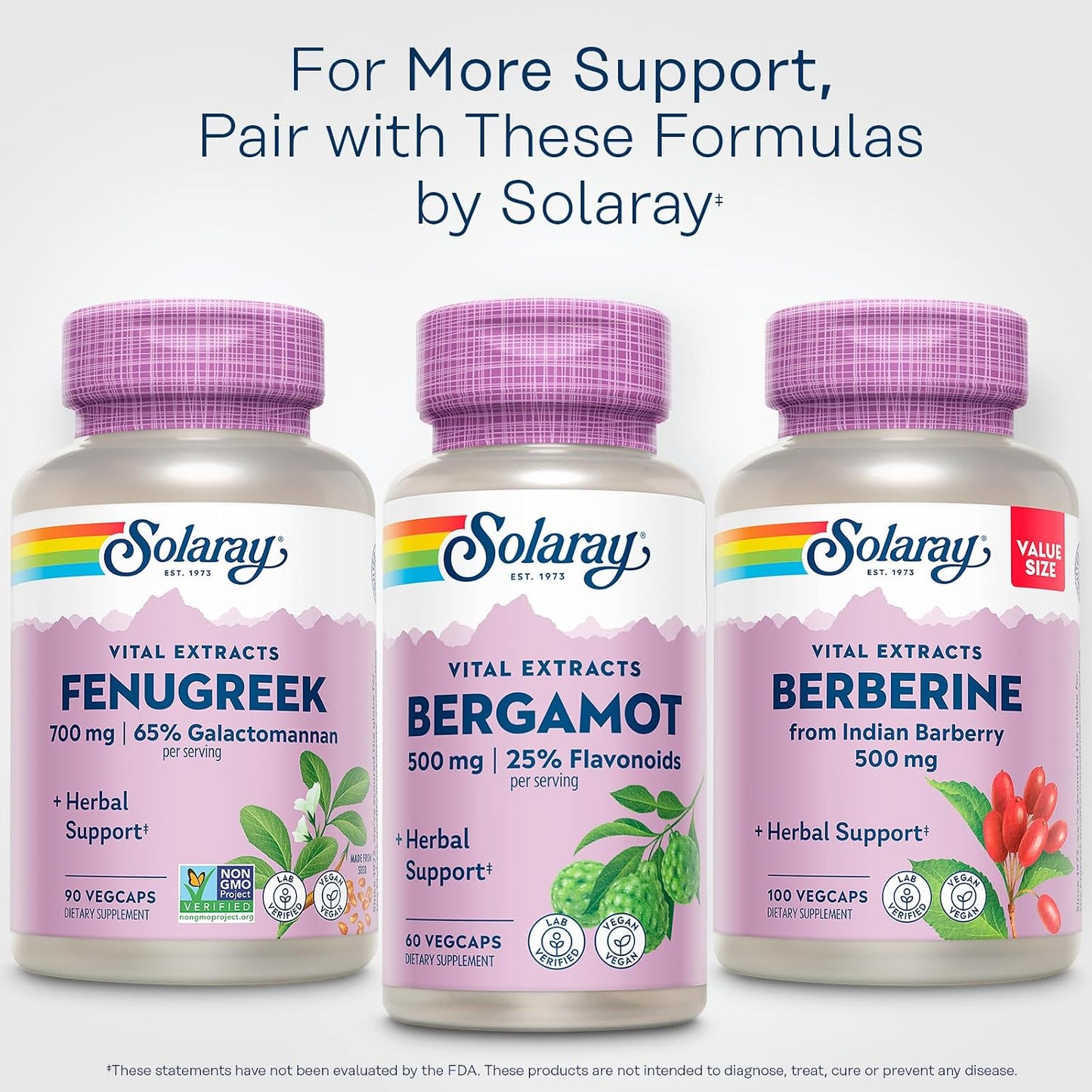 SOLARAY Fenugreek Seed Extract 700 mg – Non-GMO, Vegan Supplement – 90 VegCaps - görsel 6
