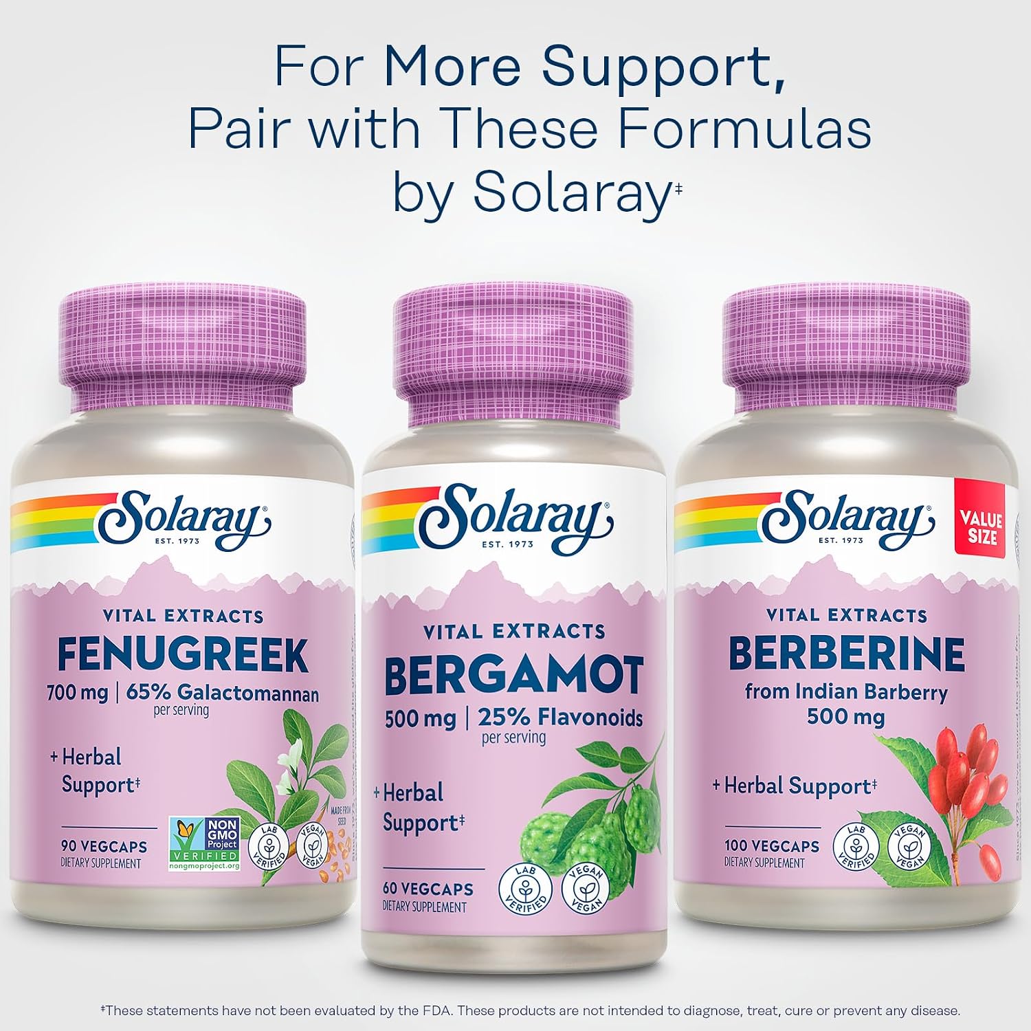 SOLARAY Fenugreek Seed Extract 700 mg – Non-GMO, Vegan Supplement – 90 VegCaps - görsel 6