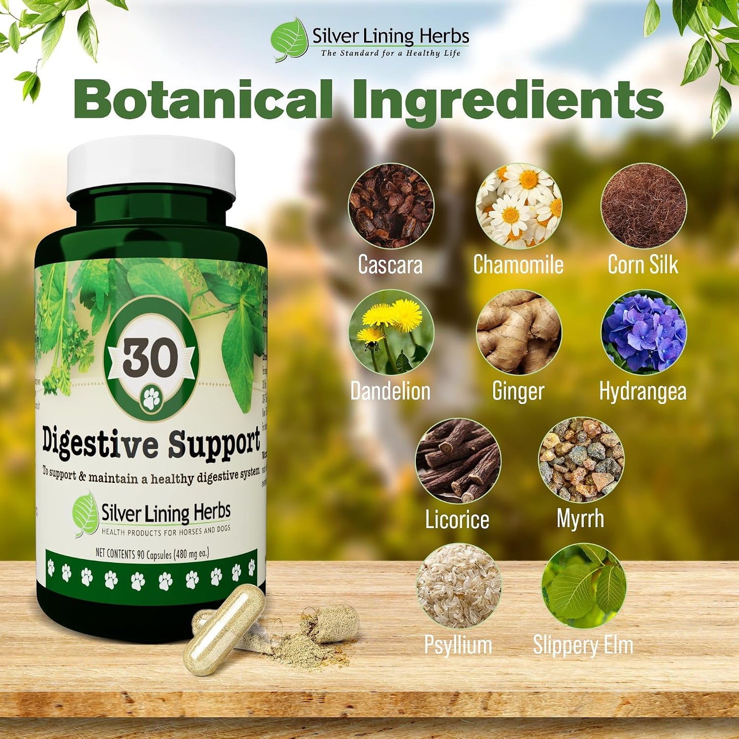 Silver Lining Herbs Dog Digestive Support – Natural Herbal Blend for Healthy Digestion & Gut Function – 90 Capsules - görsel 3