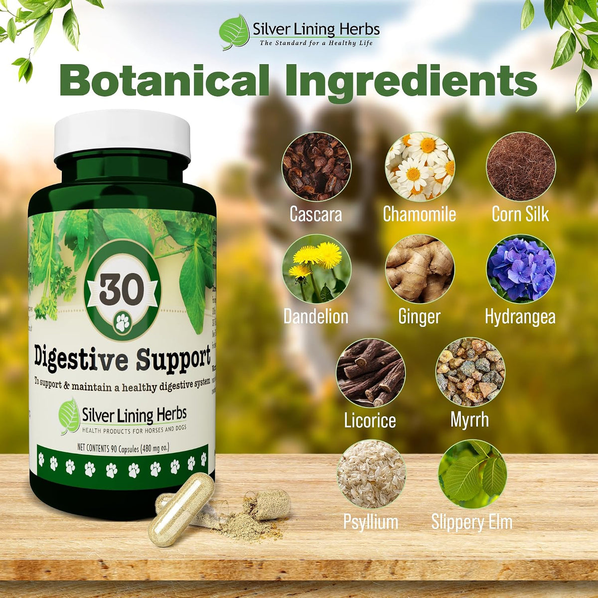 Silver Lining Herbs Dog Digestive Support – Natural Herbal Blend for Healthy Digestion & Gut Function – 90 Capsules - görsel 3