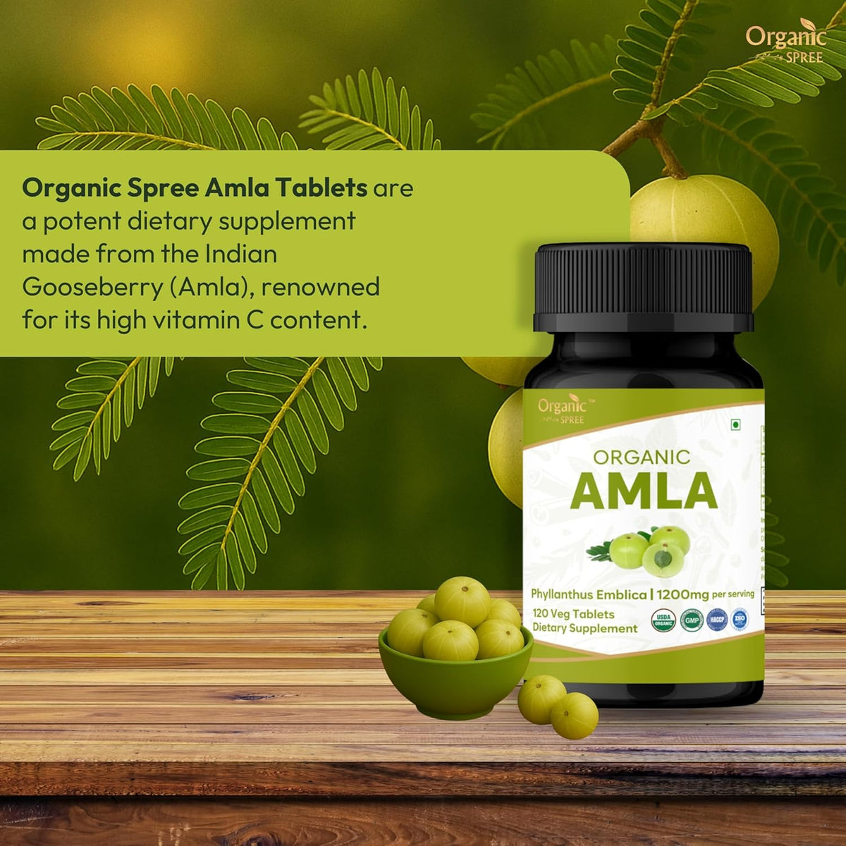 ORGANIC SPREE Amla Tablets – 1200 mg per Serving – Indian Gooseberry Food Supplement – USDA Organic – 120 Tablets (Pack of Two) - görsel 2