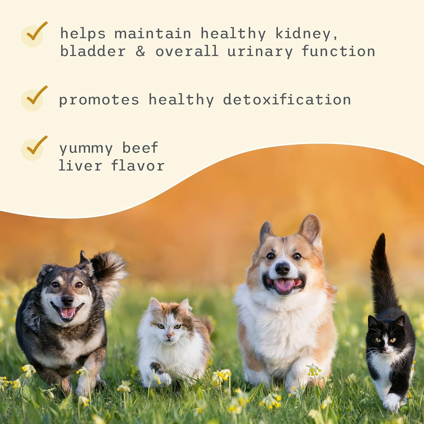 Bark & Whiskers Bladder Support for Dogs - Cranberry & D-Mannose - 90 Scoops (90 g) - UK - görsel 5