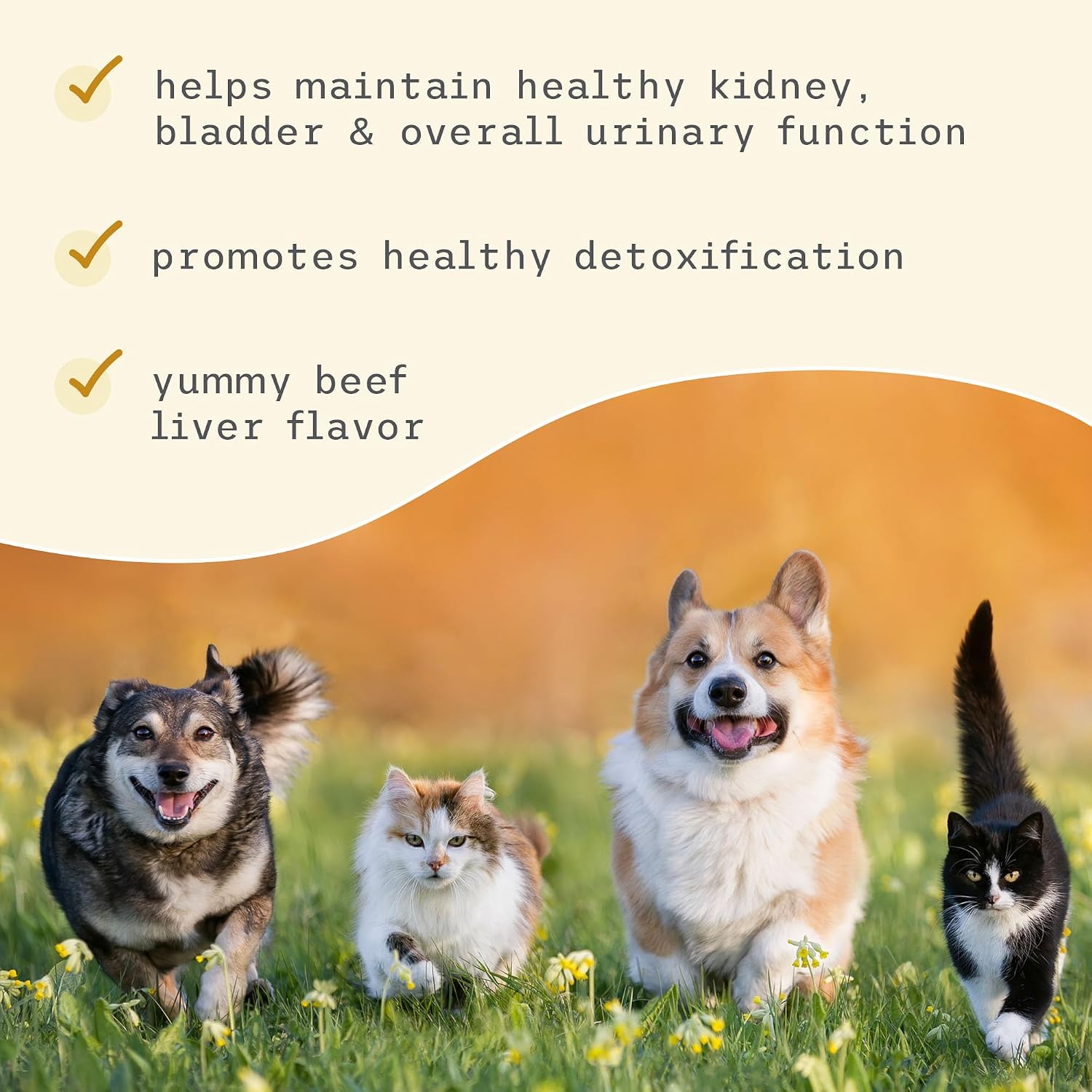 Bark & Whiskers Bladder Support for Dogs - Cranberry & D-Mannose - 90 Scoops (90 g) - UK - görsel 5