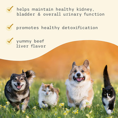 Bark & Whiskers Bladder Support for Dogs - Cranberry & D-Mannose - 90 Scoops (90 g) - UK