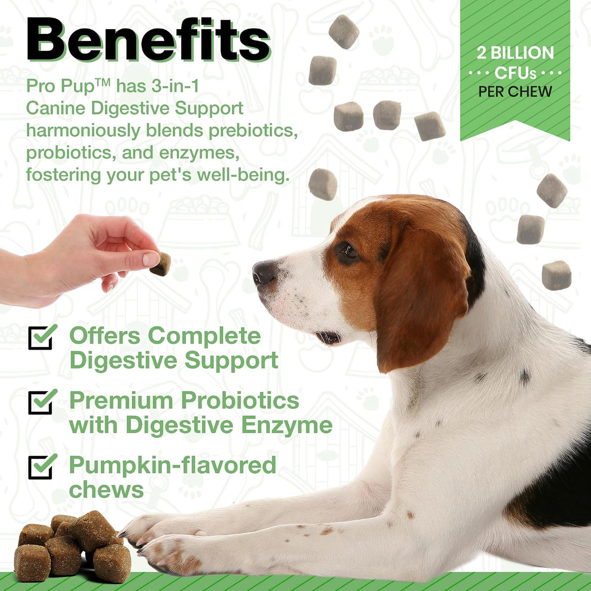 Pawlife Probiotics for Dogs - Pumpkin Flavour Soft Chews (240 Count) - görsel 2